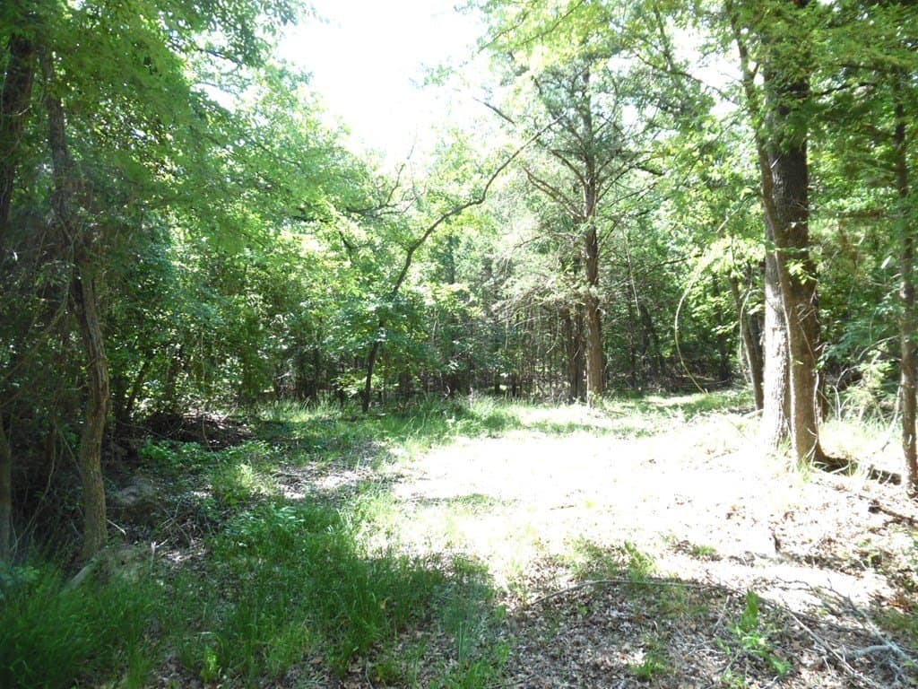 0.22 acres in Van Zandt County featured view