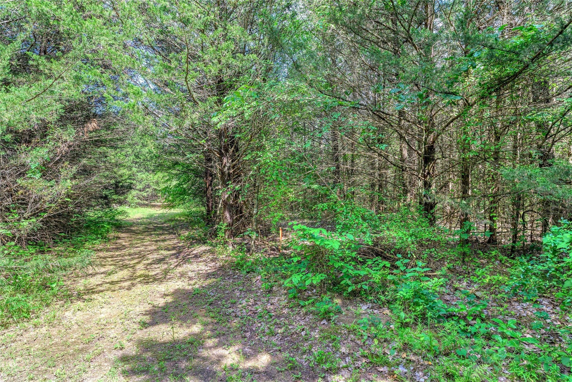 2.55 acres in Grayson County - photo 11