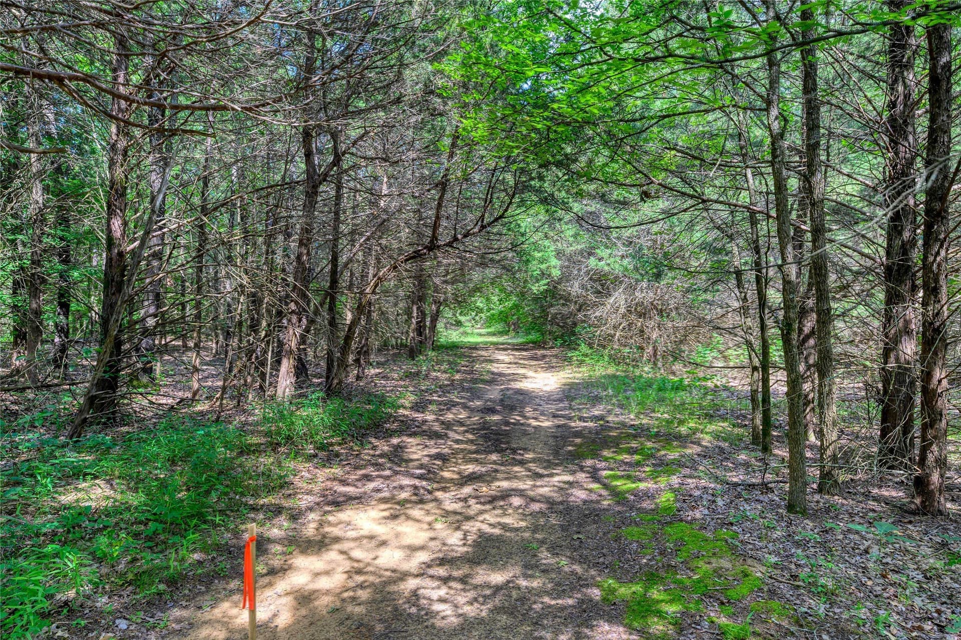 2.55 acres in Grayson County - photo 10