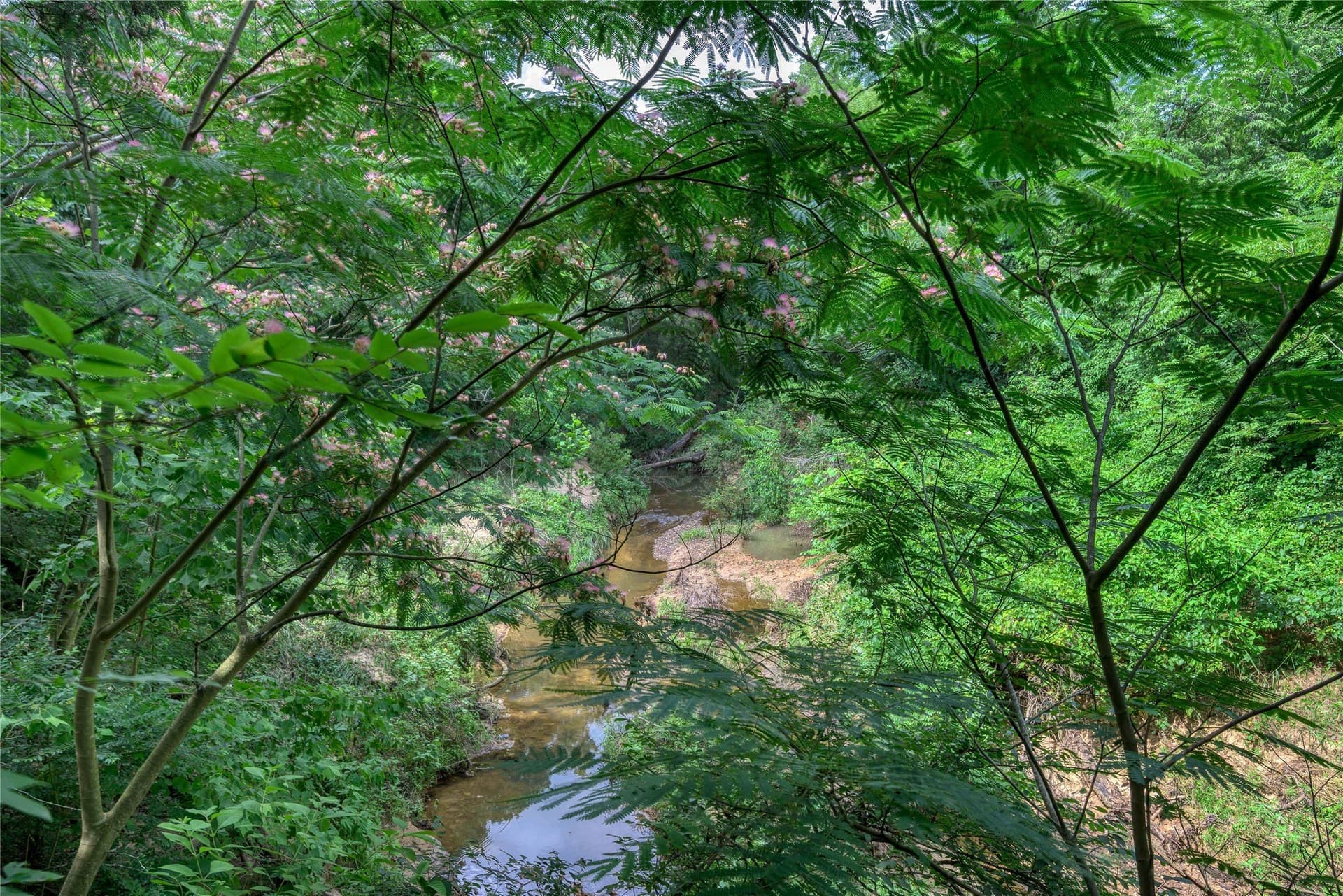 2.55 acres in Grayson County - photo 14