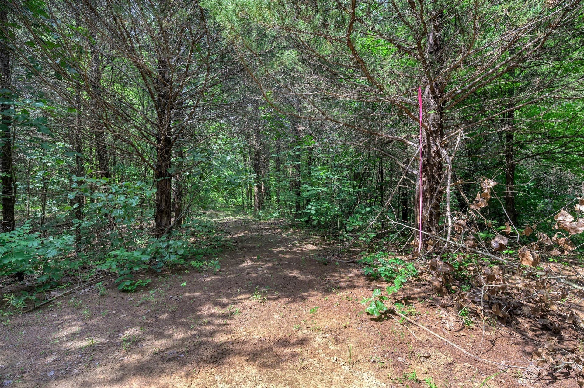 2.55 acres in Grayson County - photo 13