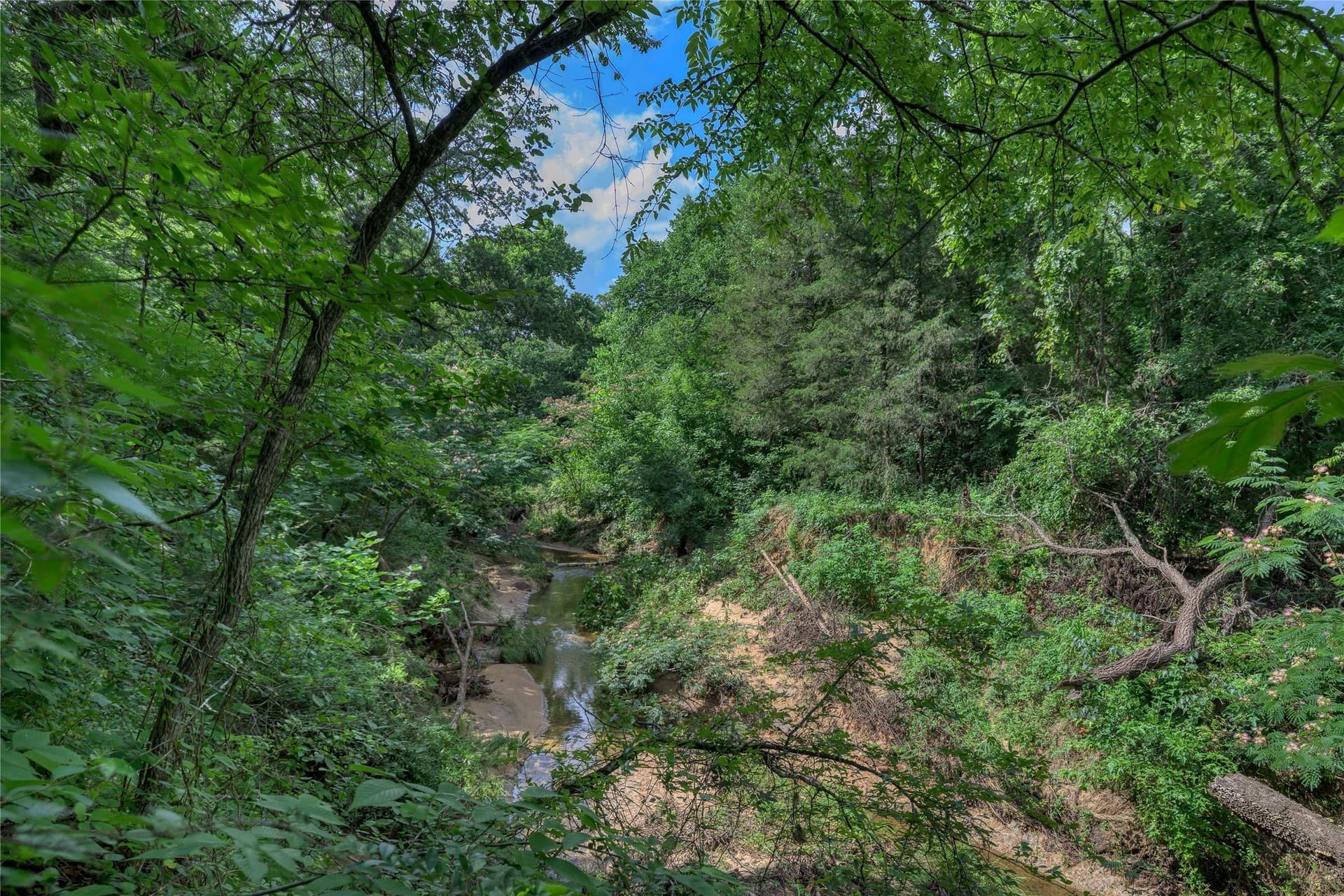 2.55 acres in Grayson County - photo 15