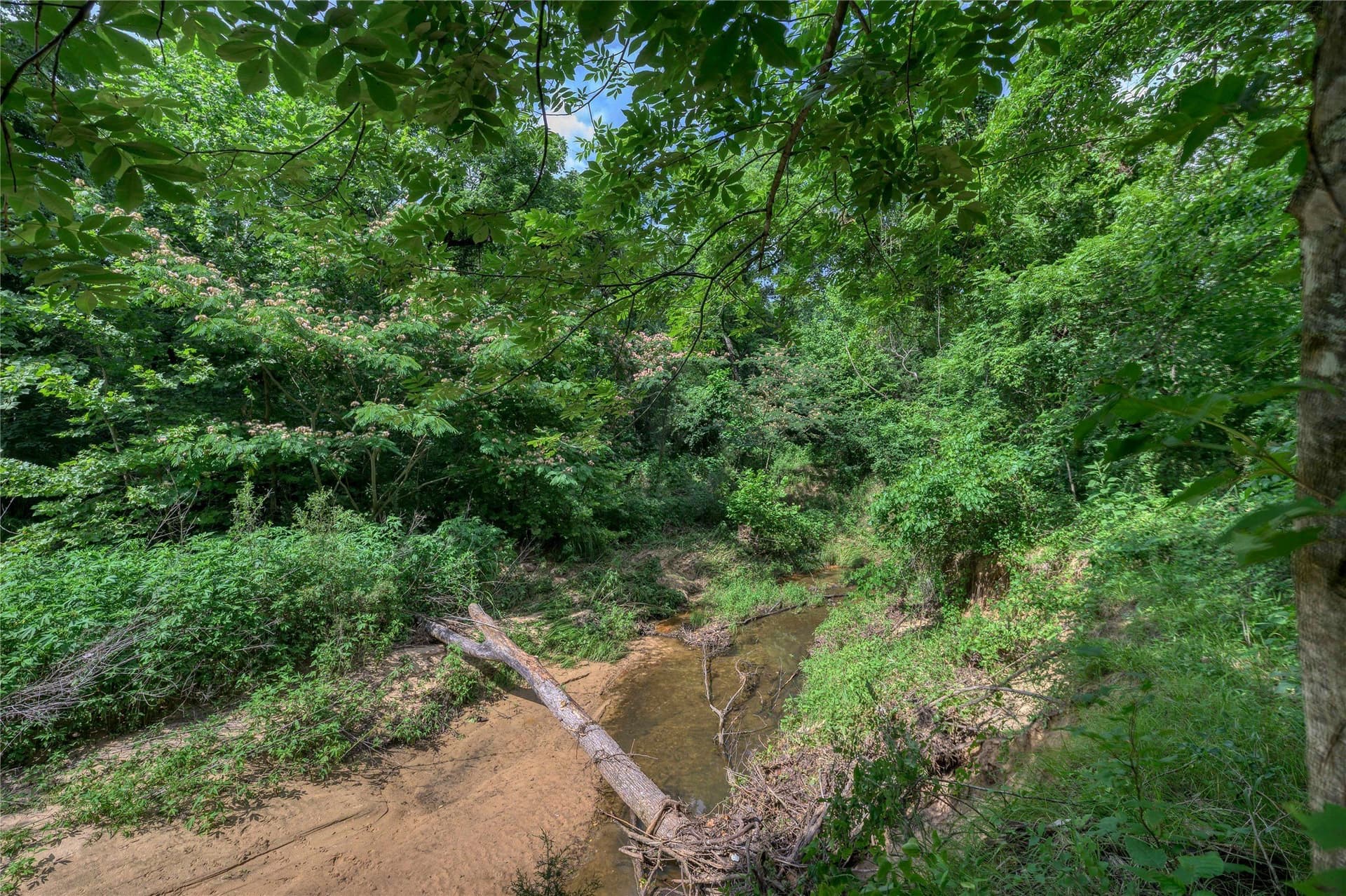 2.55 acres in Grayson County - photo 9