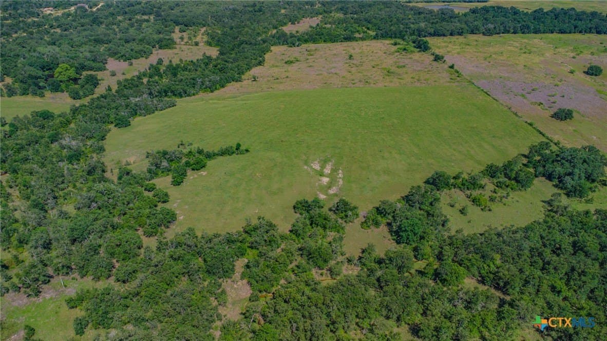 58 acres in Milam County - photo 8