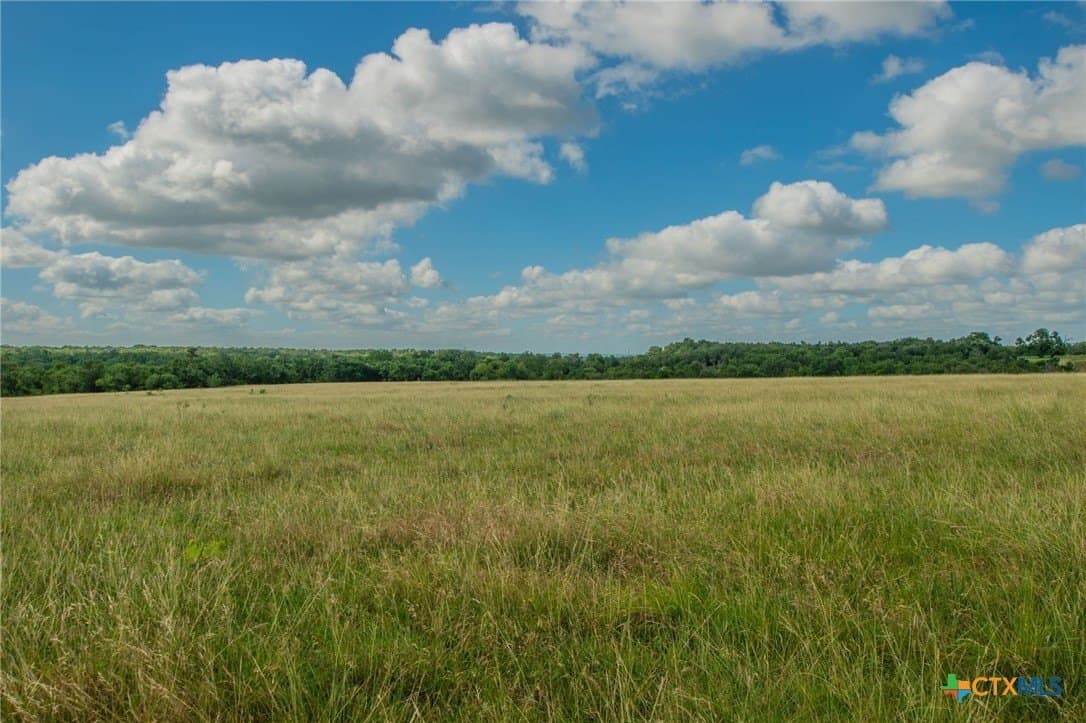 58 acres in Milam County - photo 19