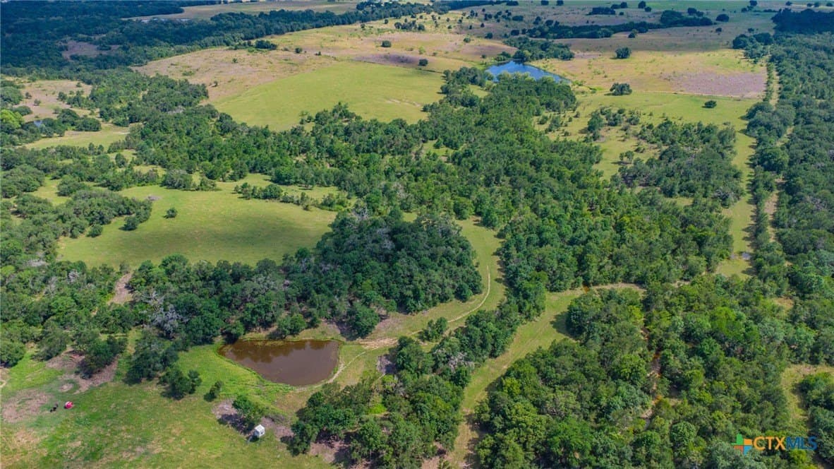 58 acres in Milam County gallery image 2