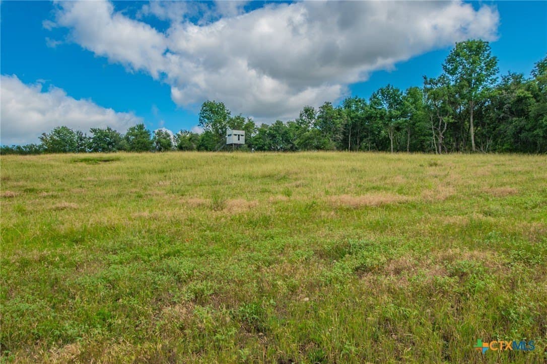 58 acres in Milam County - photo 18