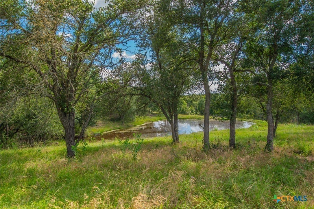58 acres in Milam County gallery image 4