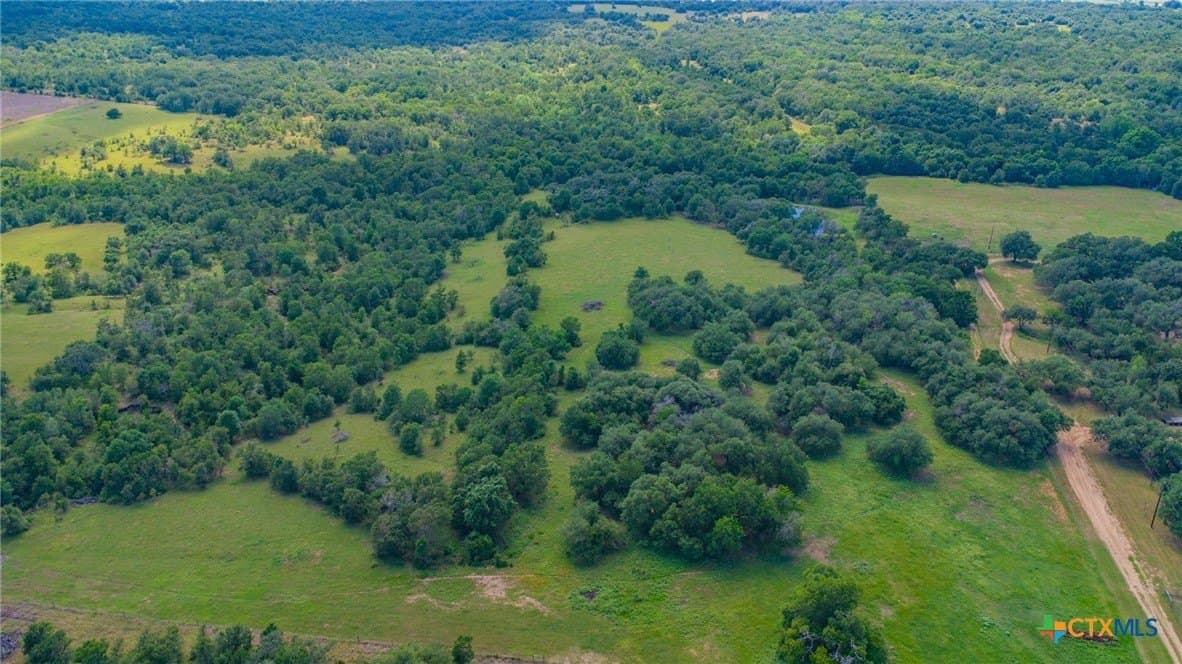 58 acres in Milam County - photo 15