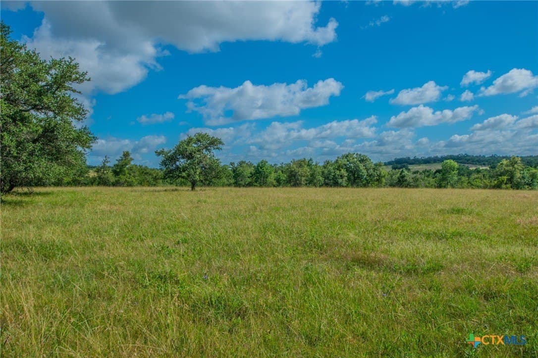 58 acres in Milam County - photo 20