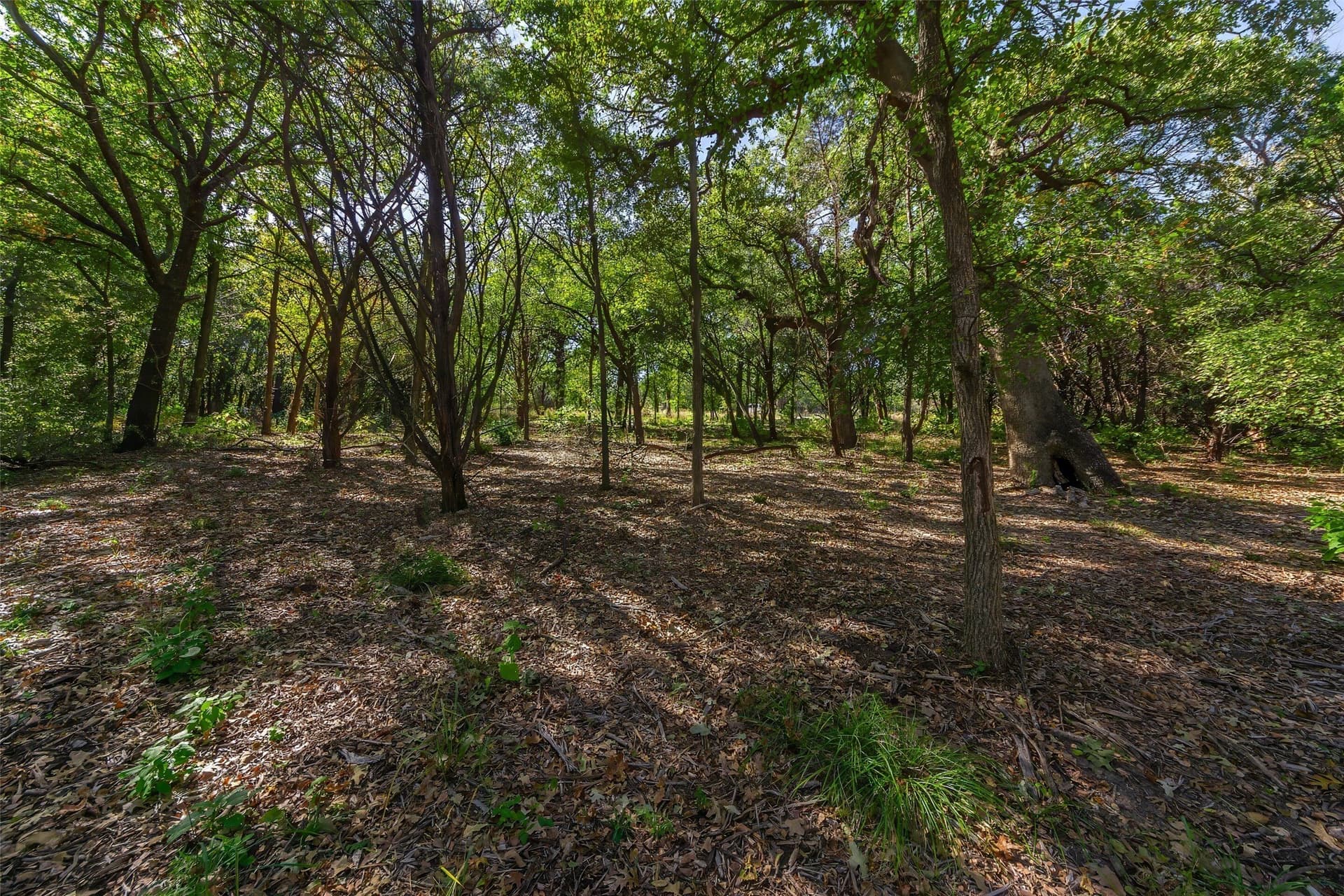 1.16 acres in Somervell County - photo 3