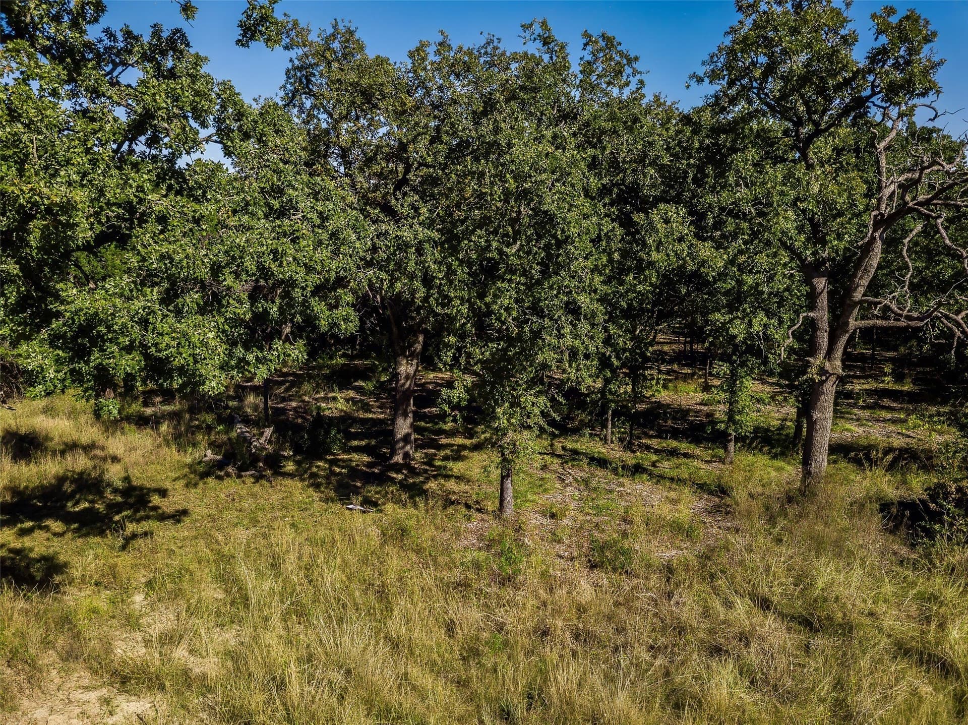 1.16 acres in Somervell County - photo 9