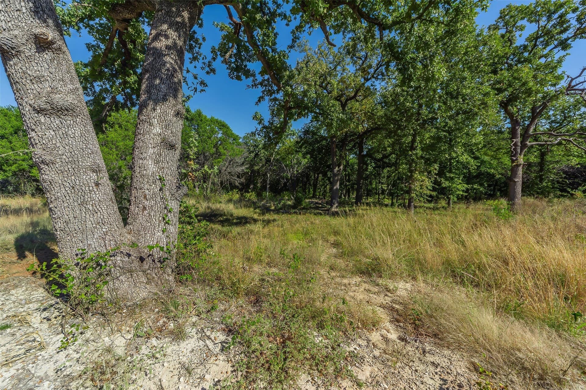 1.16 acres in Somervell County - photo 19