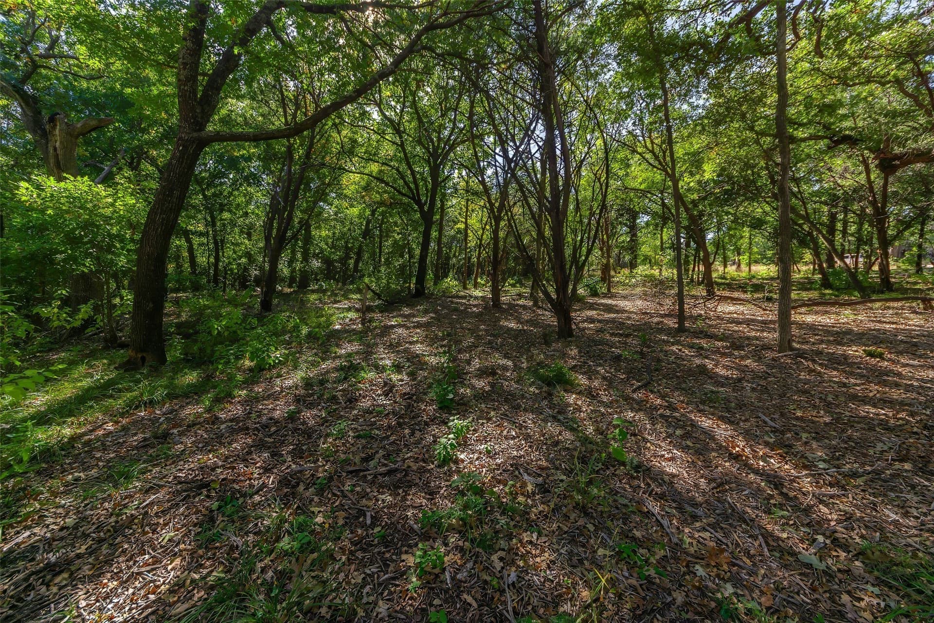 1.16 acres in Somervell County - photo 5