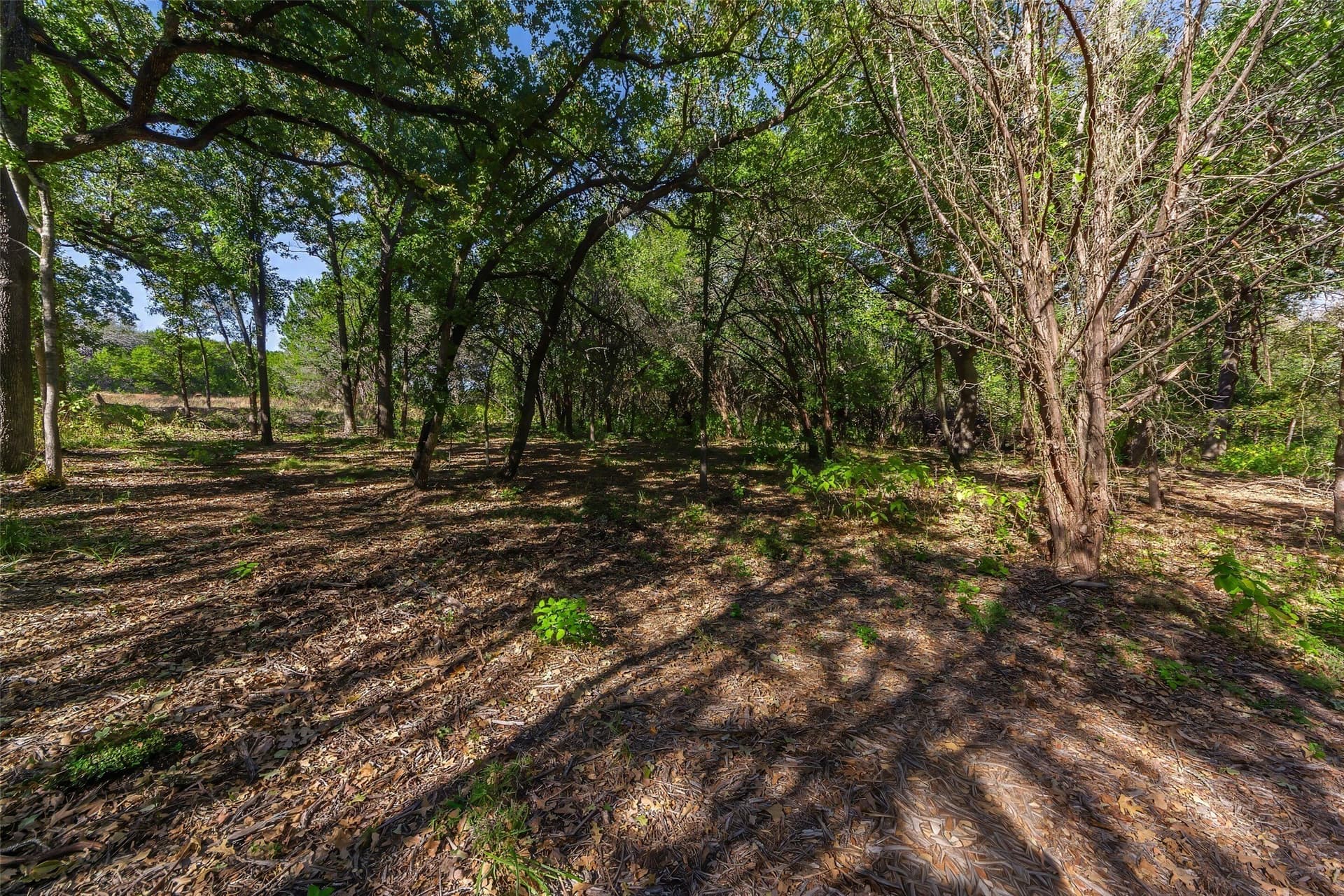 1.16 acres in Somervell County - photo 7