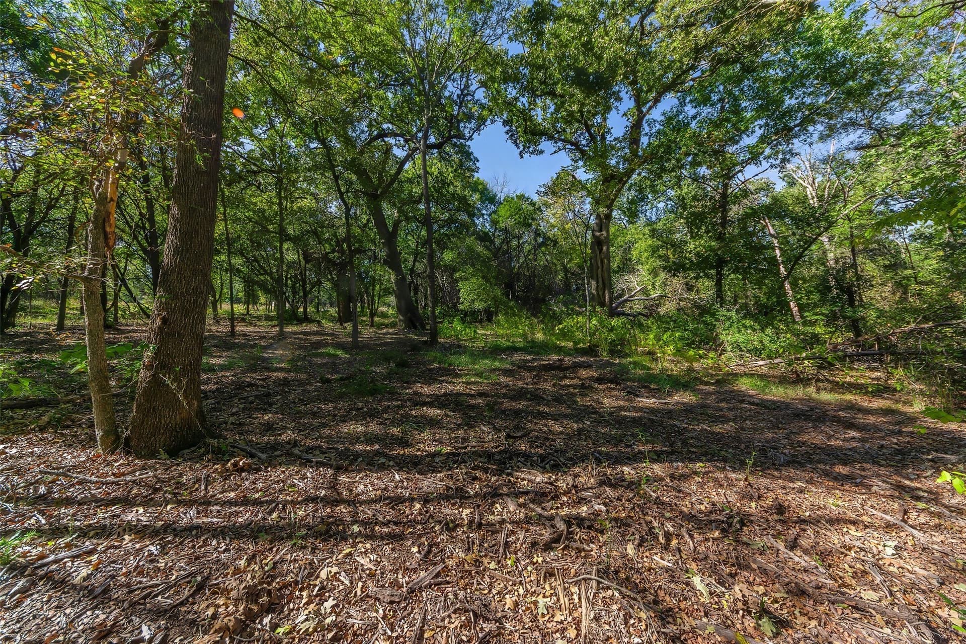 1.16 acres in Somervell County - photo 4
