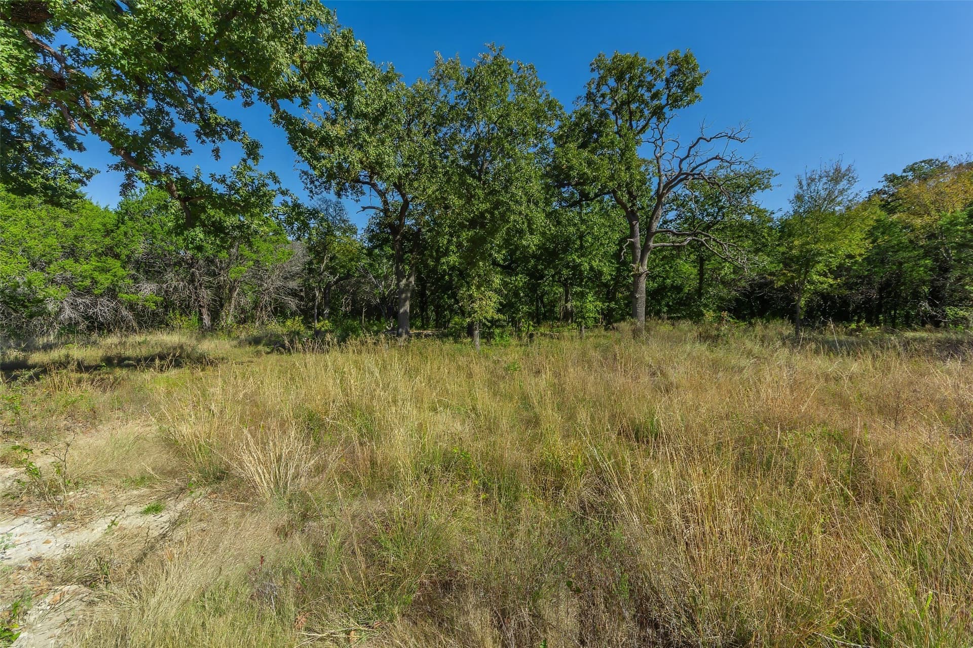 1.16 acres in Somervell County - photo 18