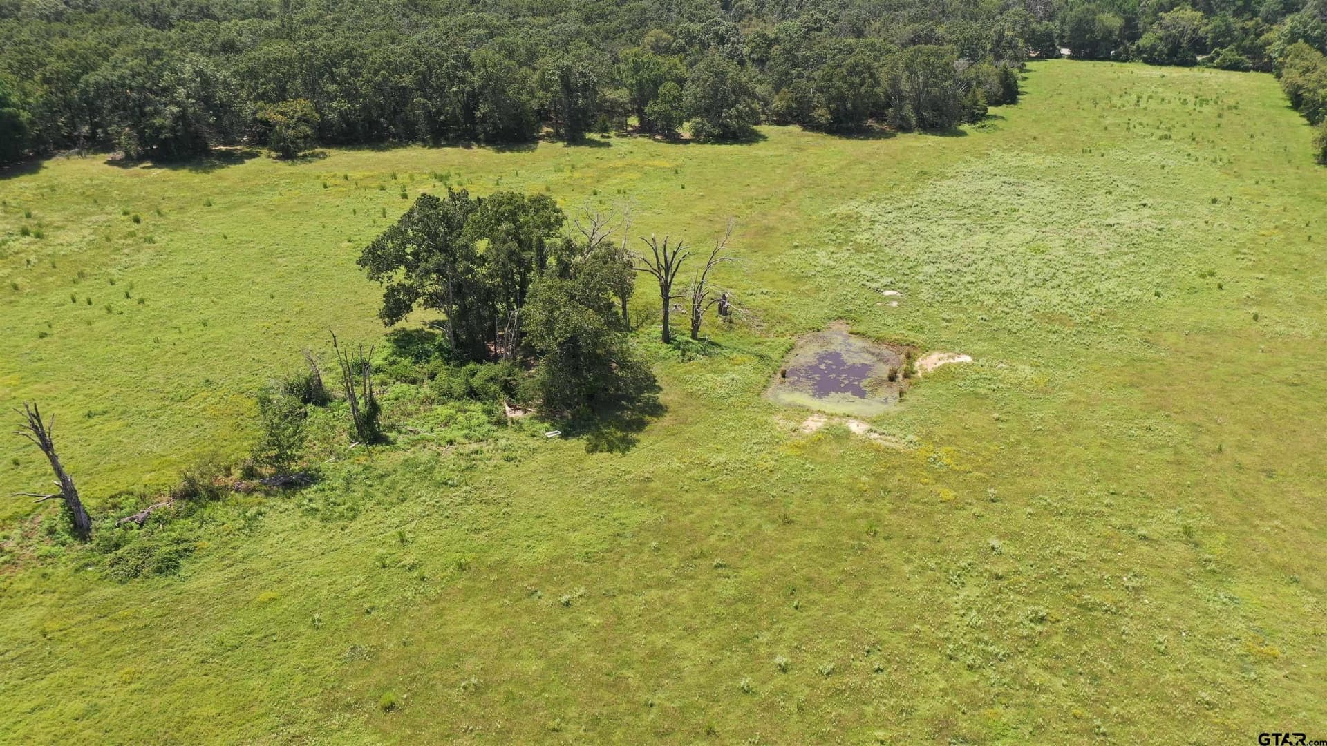 14.45 acres in Van Zandt County - photo 8