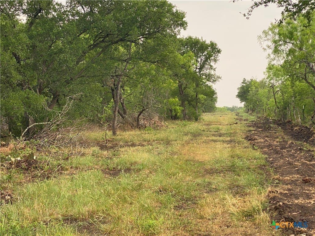 2 acres in Gonzales County gallery image 2