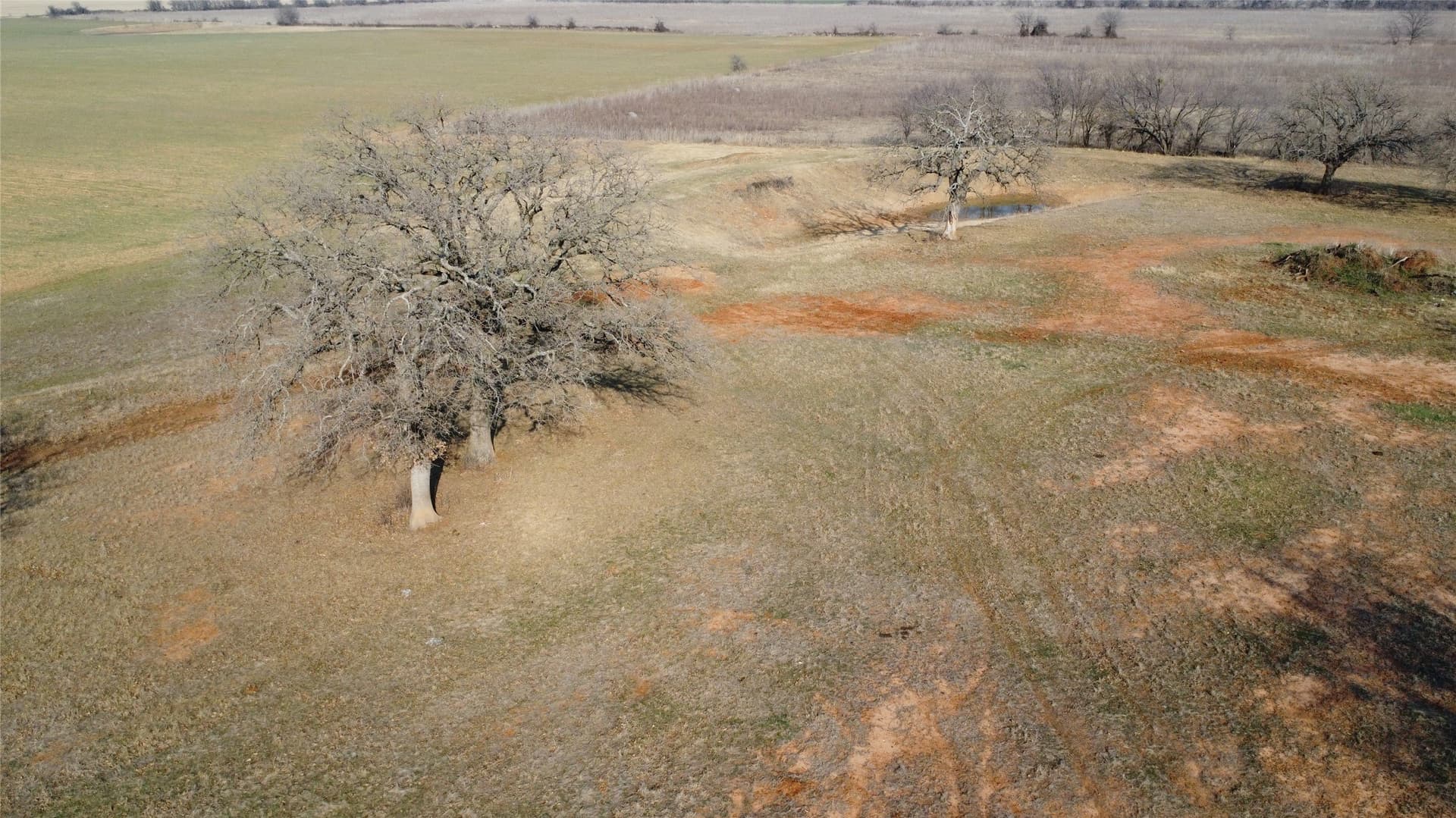 20.23 acres in Comanche County gallery image 3