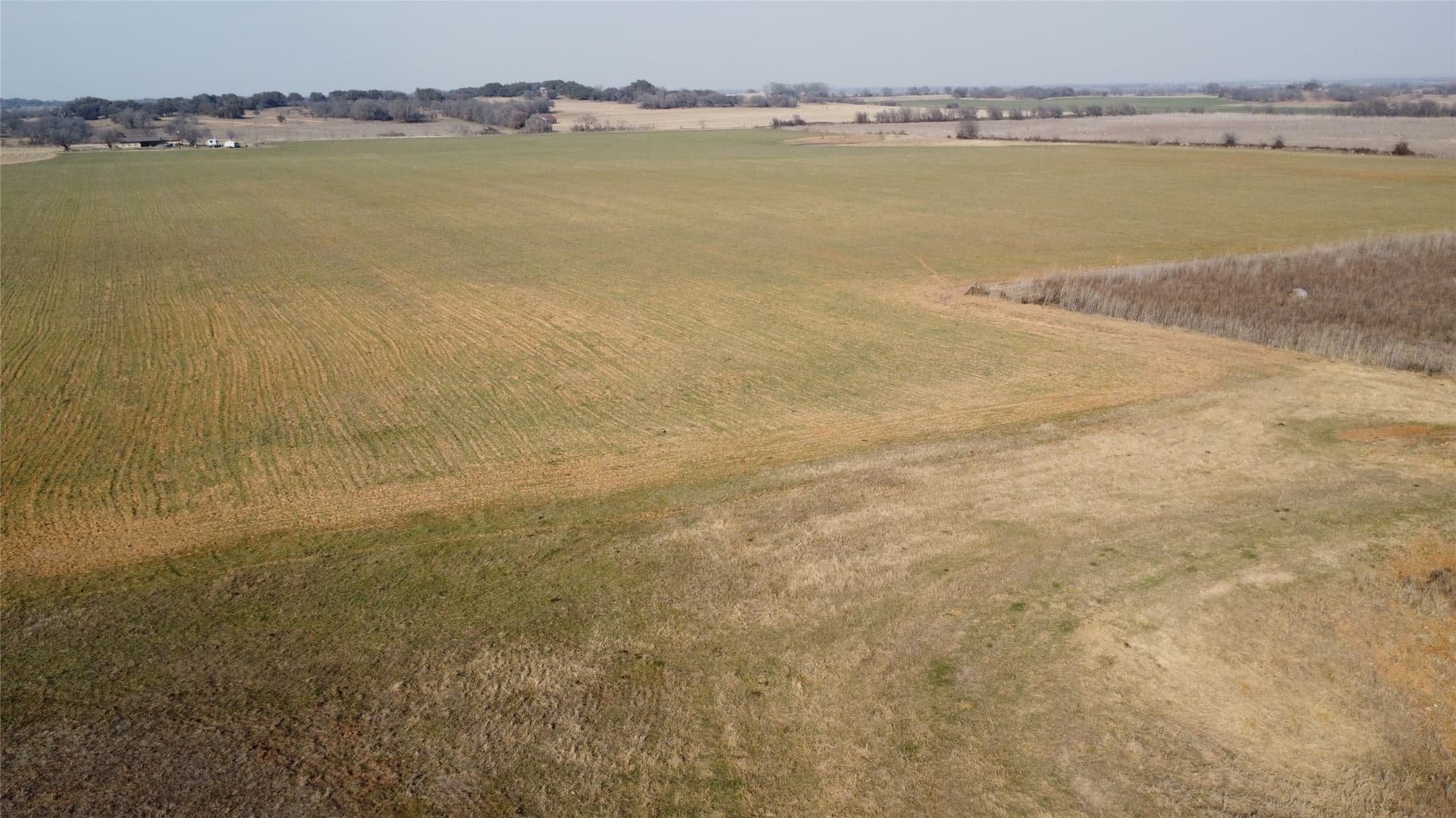 20.23 acres in Comanche County gallery image 4