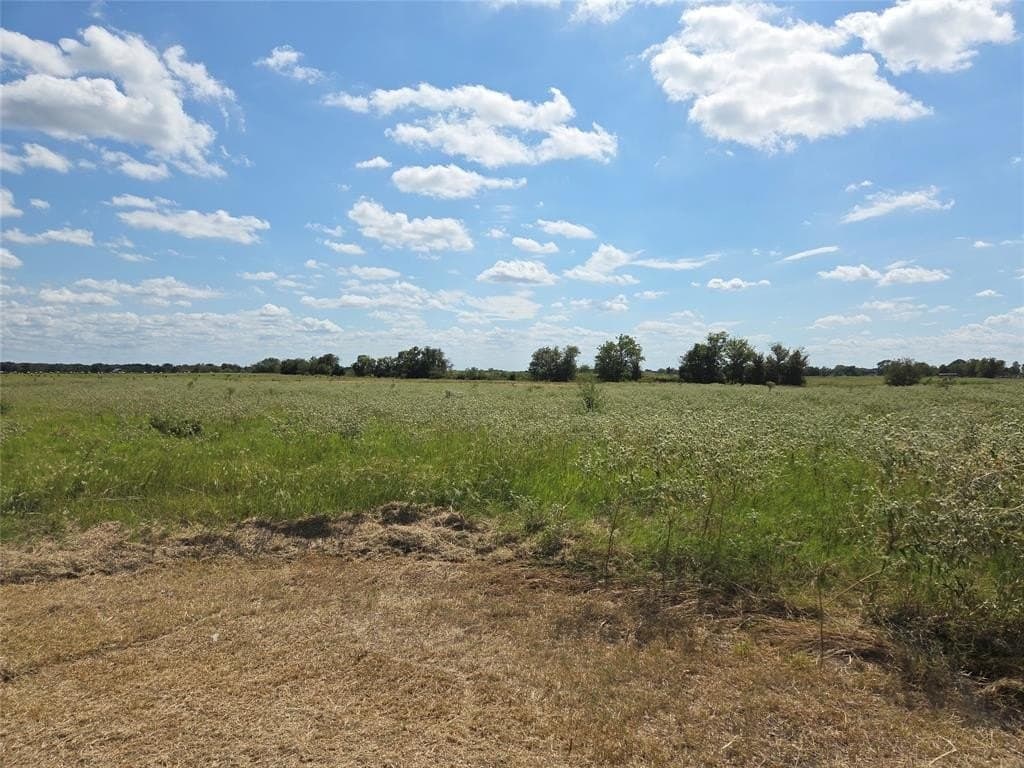 20 acres in Navarro County gallery image 4