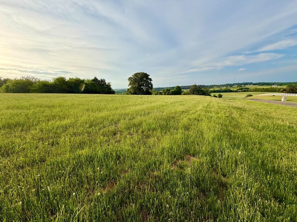 3.02 acres in Henderson County - photo 6