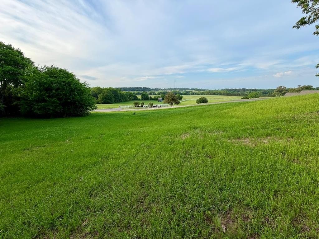 3.02 acres in Henderson County - photo 14