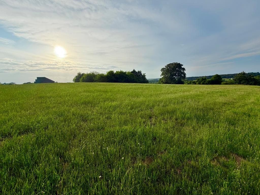 3.02 acres in Henderson County - photo 15