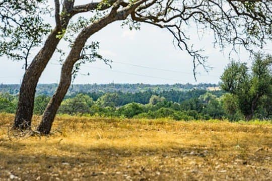 20.09 acres in Gillespie County gallery image 3