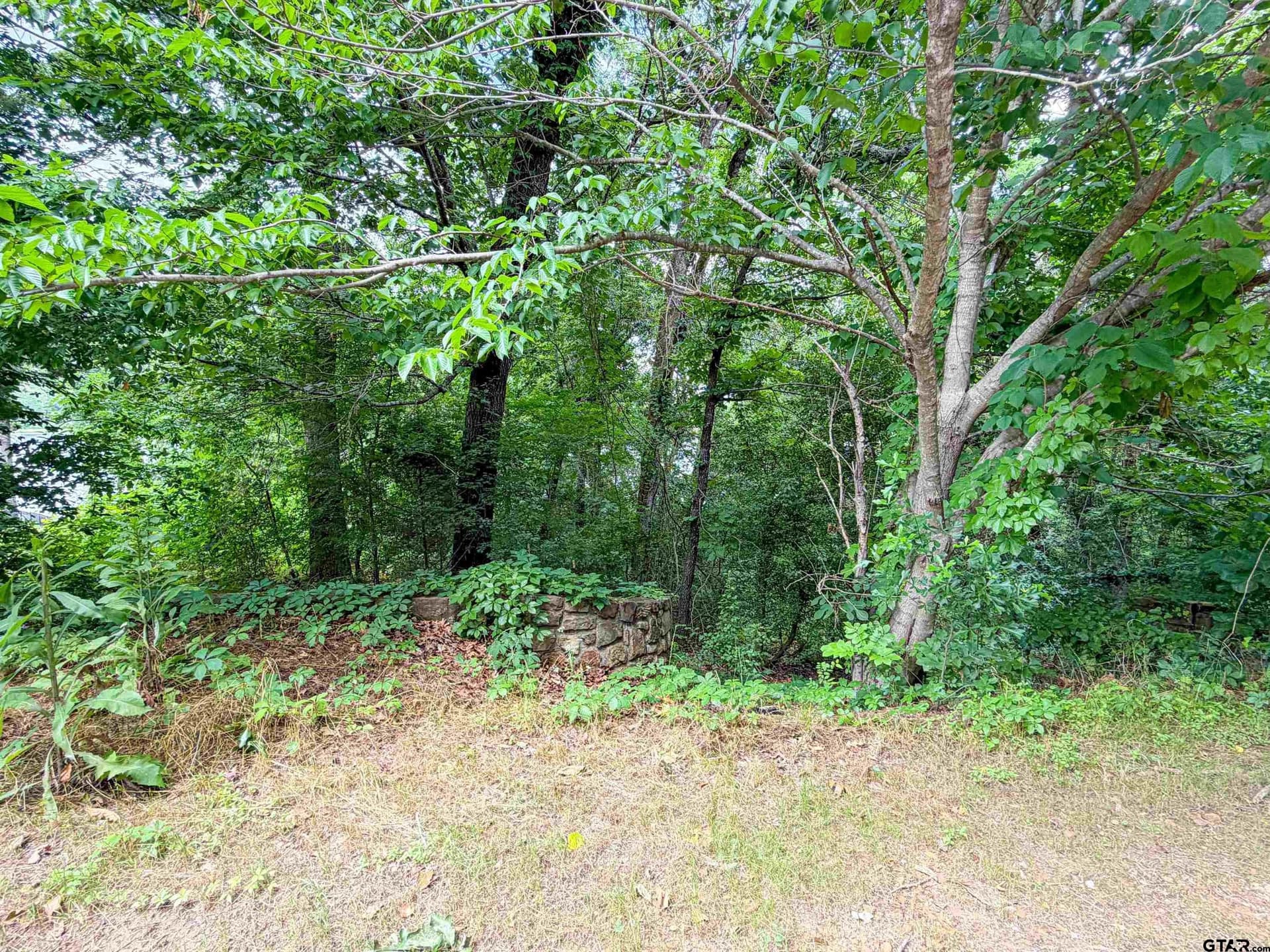 0.99 acres in Smith County gallery image 4