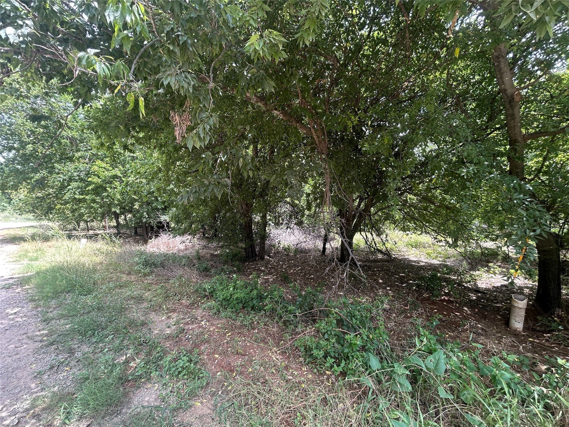 0.02 acres in Hood County gallery image 2