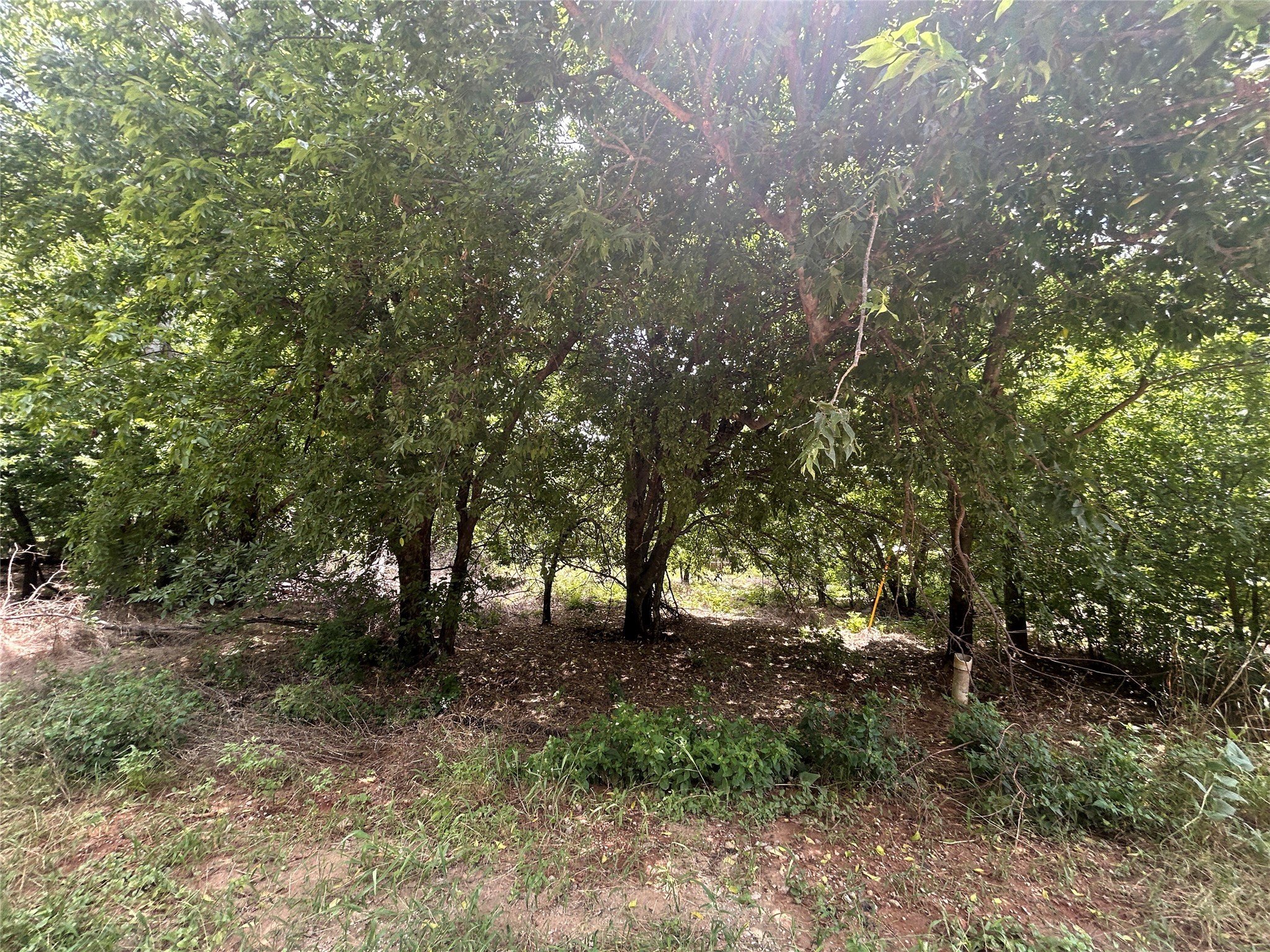 0.02 acres in Hood County gallery image 3