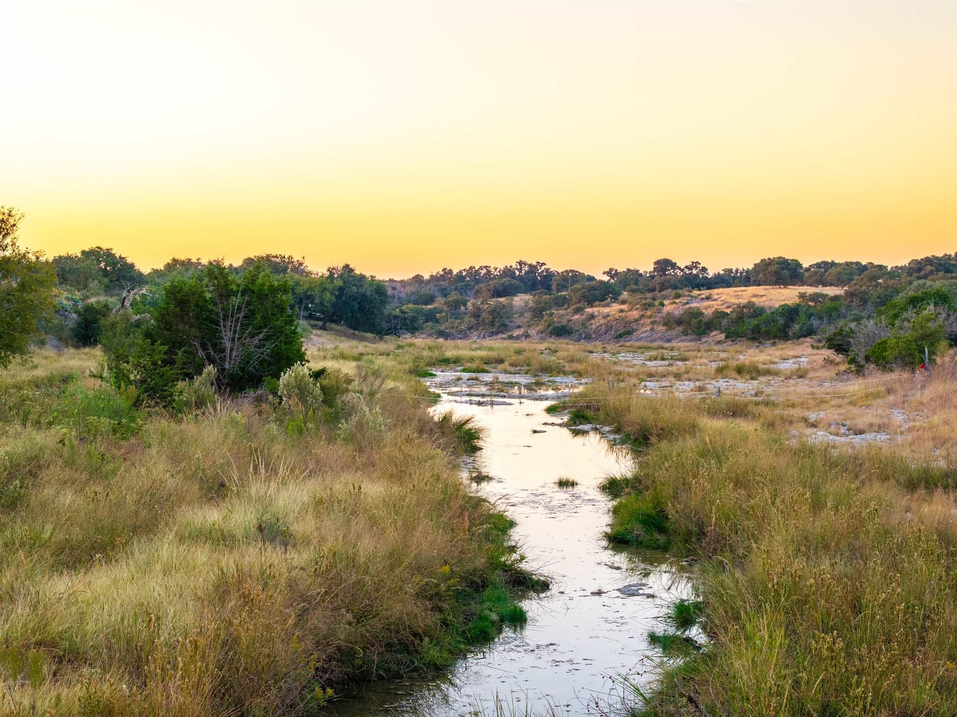 171.73 acres in Gillespie County gallery image 4