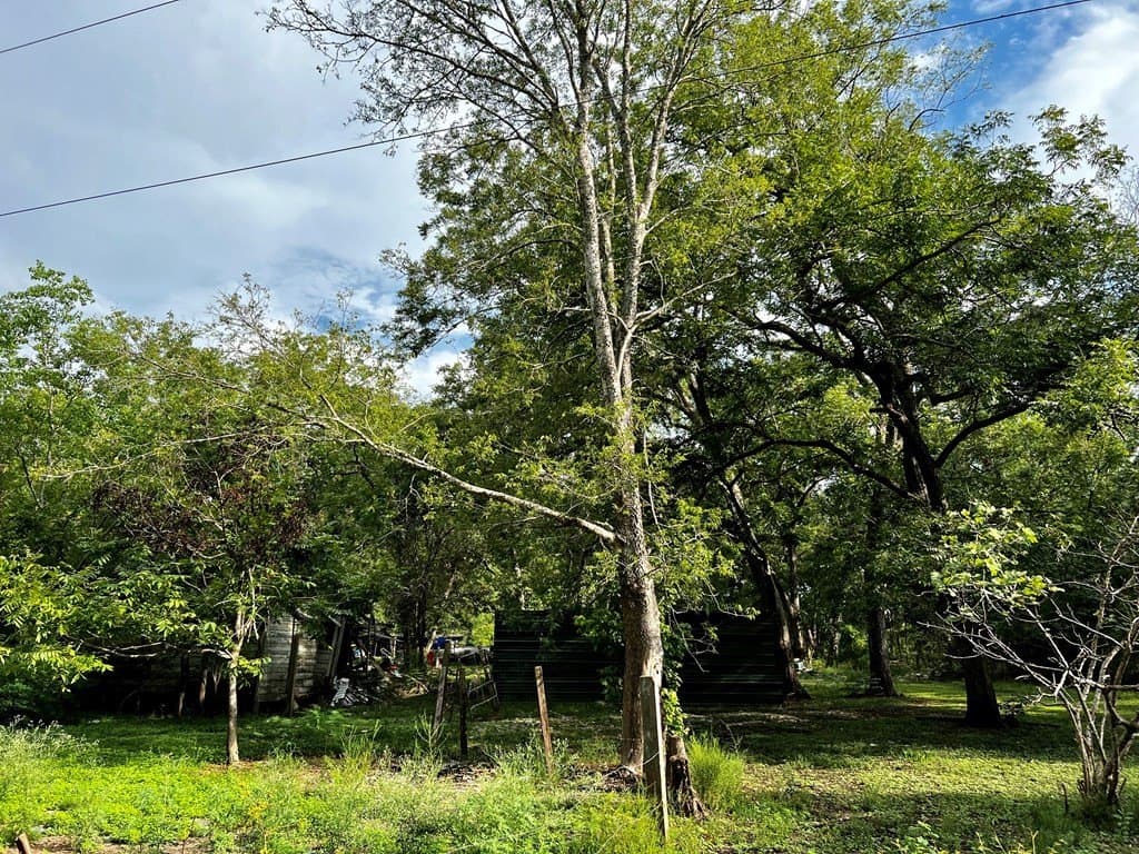 4.84 acres in Angleton County - photo 10
