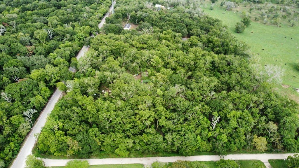 4.84 acres in Angleton County gallery image 2