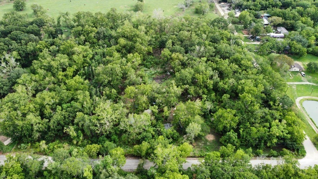 4.84 acres in Angleton County gallery image 3