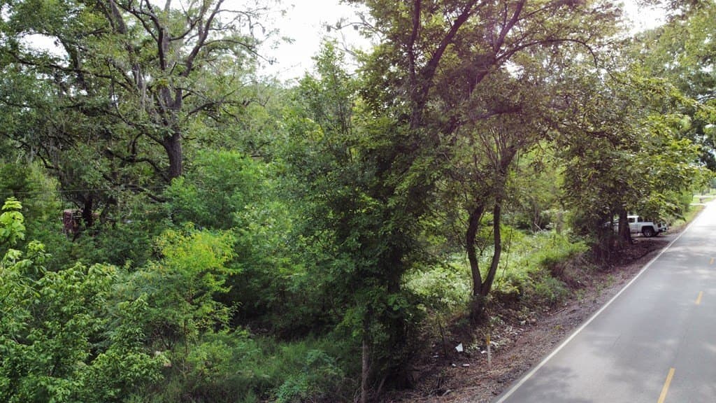4.84 acres in Angleton County - photo 8