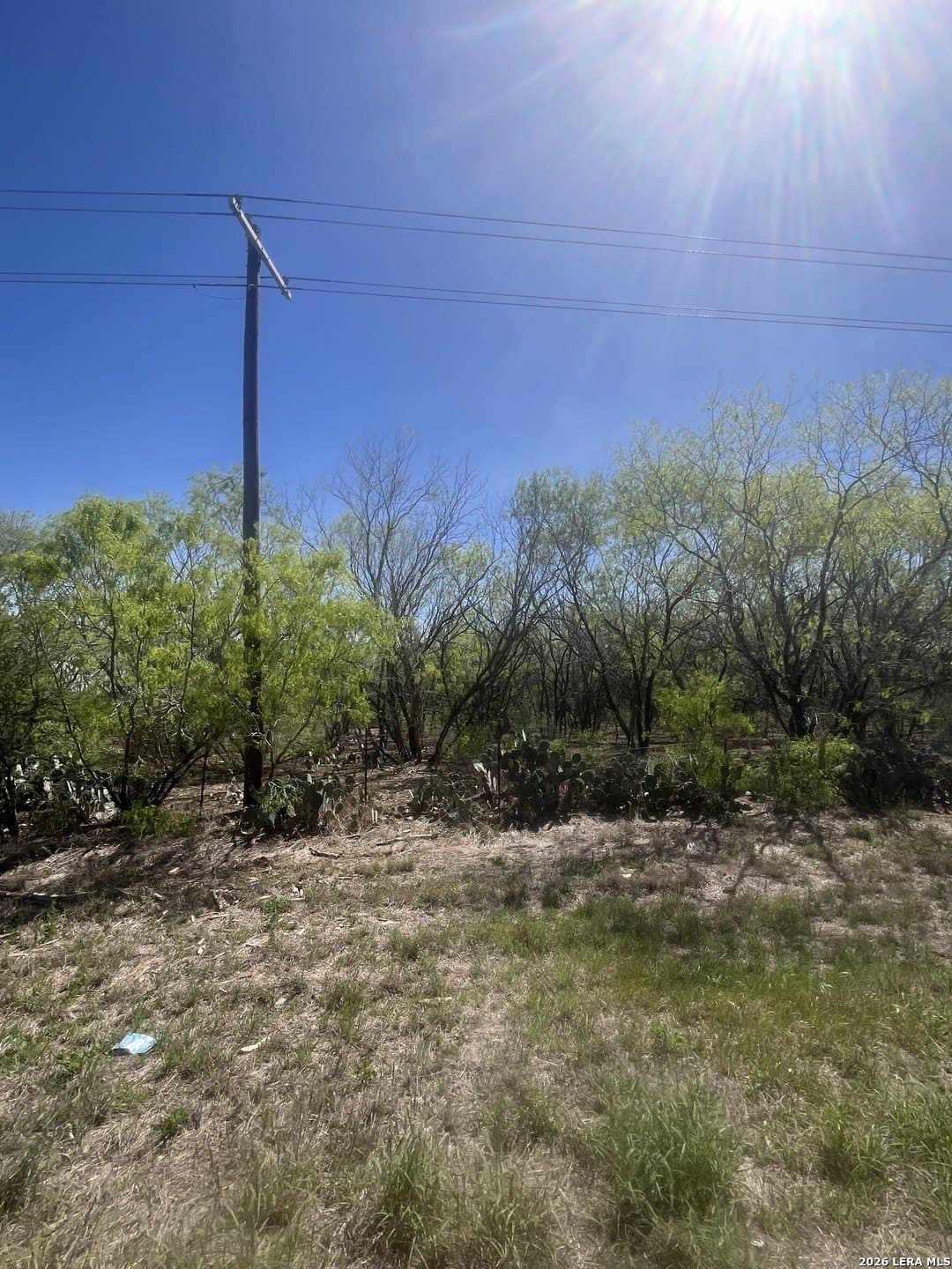 10 acres in Atascosa County gallery image 4