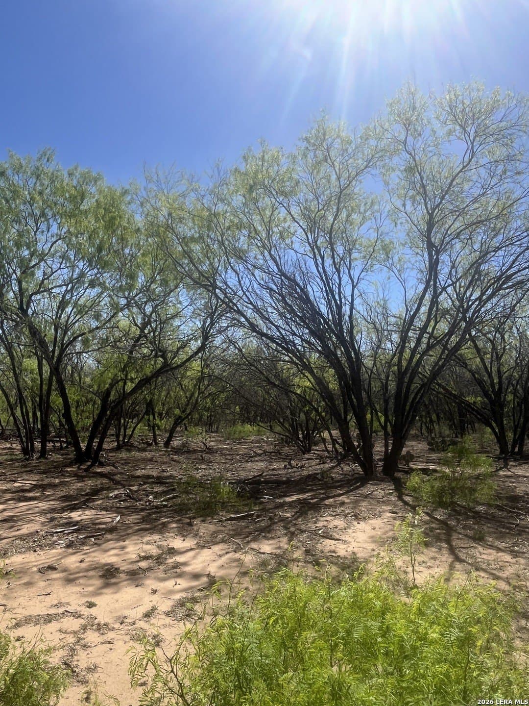 10 acres in Atascosa County