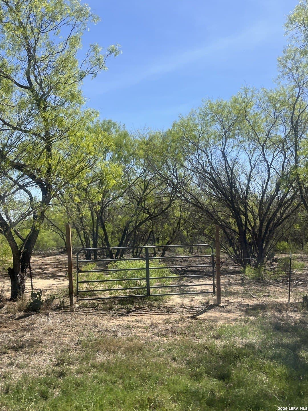 10 acres in Atascosa County gallery image 3