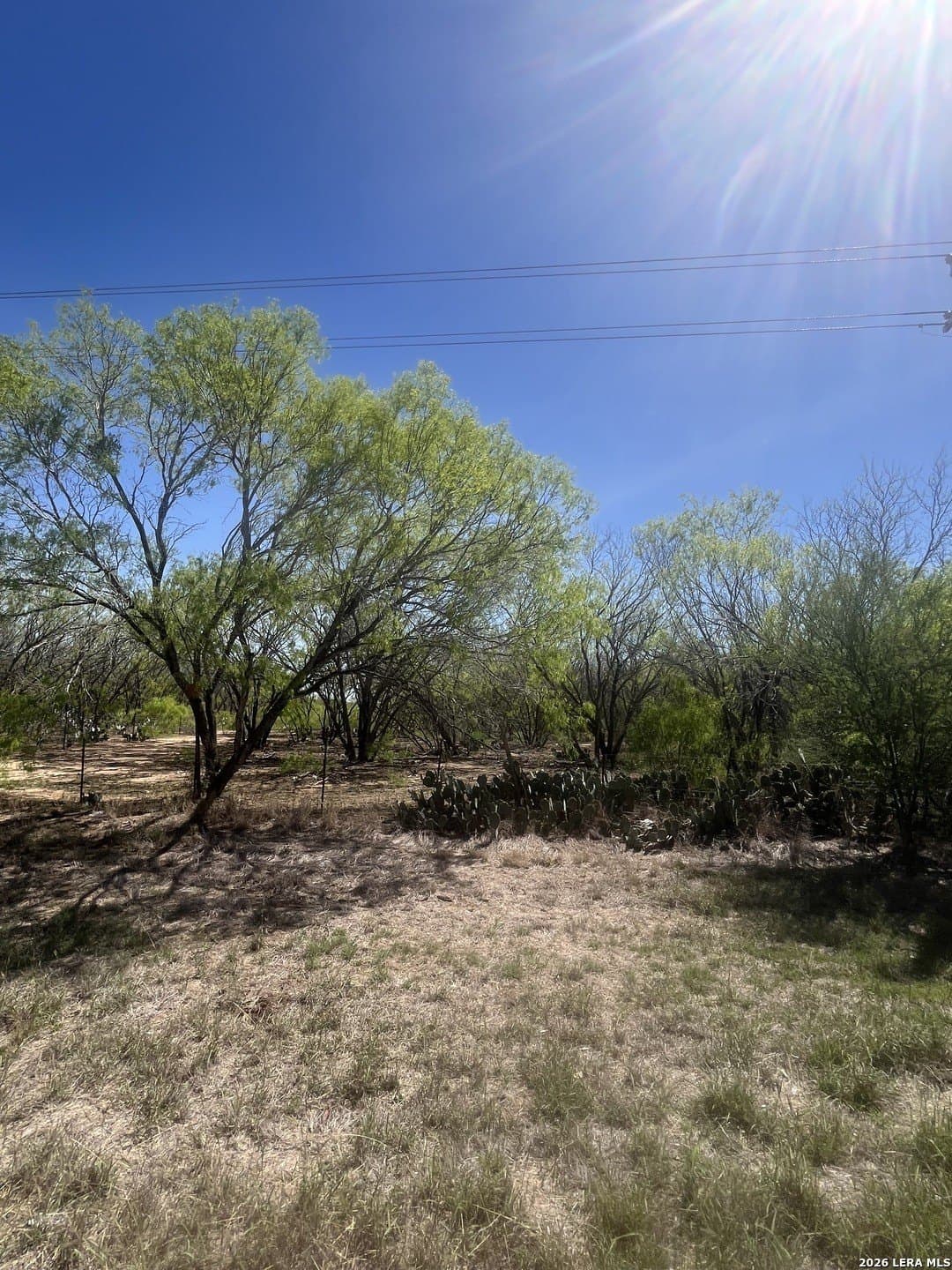 10 acres in Atascosa County featured view
