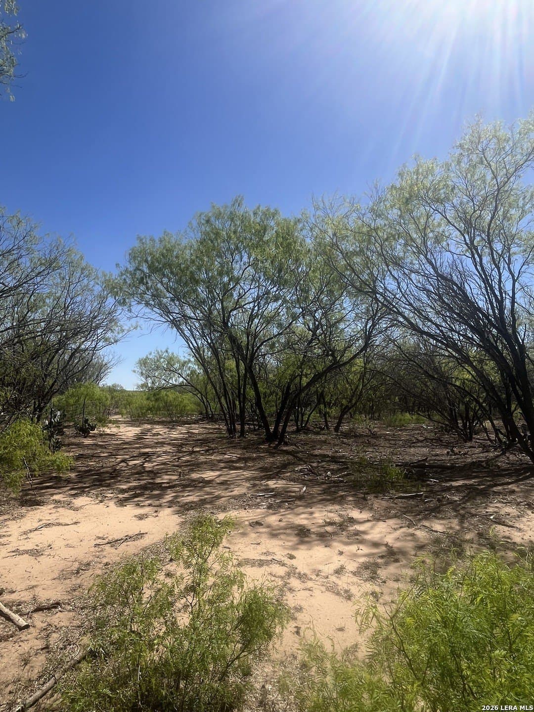 10 acres in Atascosa County gallery image 2