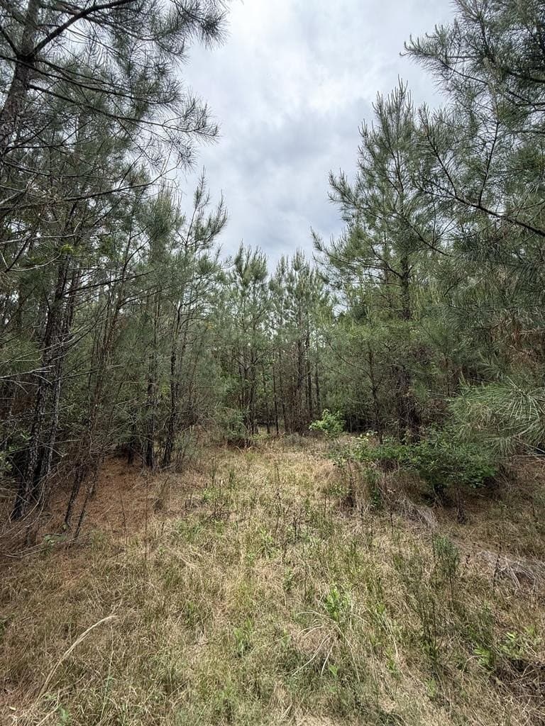36.02 acres in Texas County - photo 13
