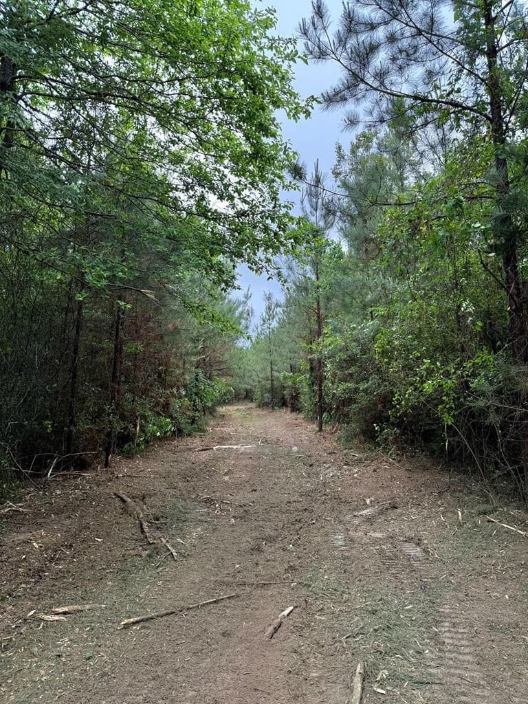 36.02 acres in Texas County gallery image 4