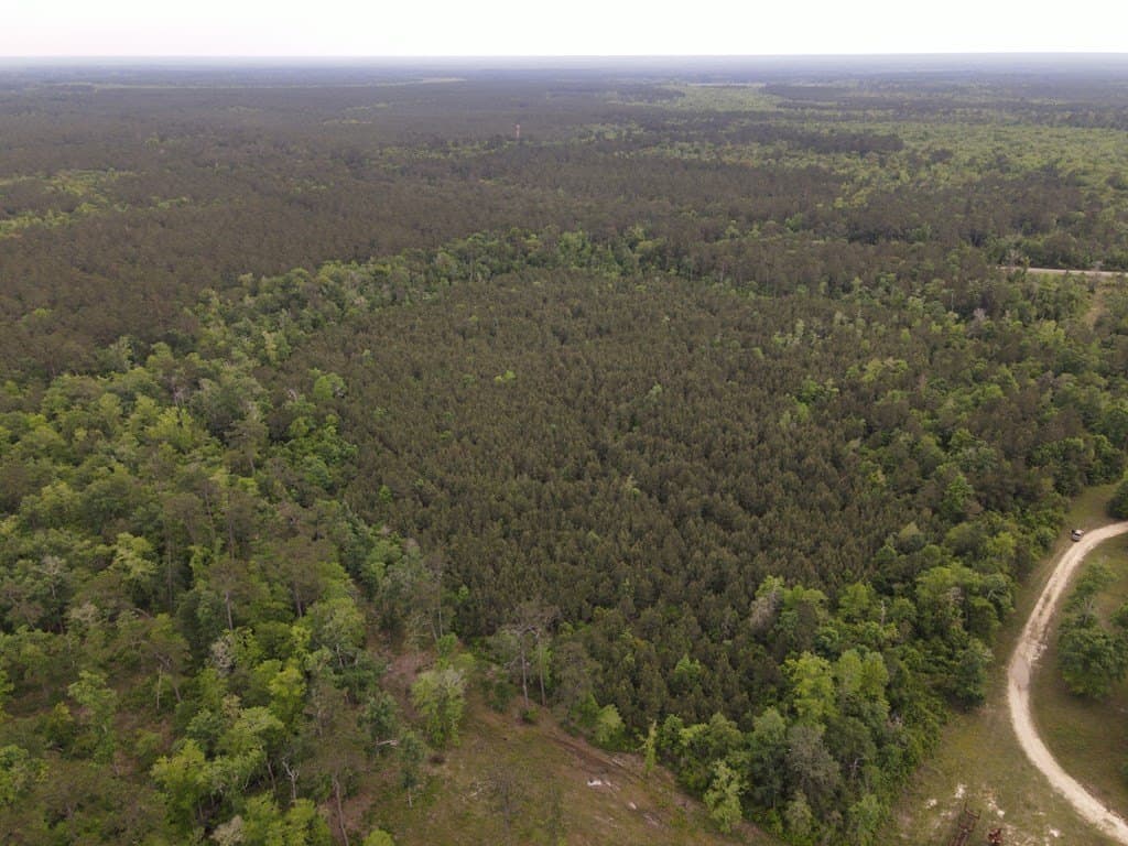 36.02 acres in Texas County - photo 12
