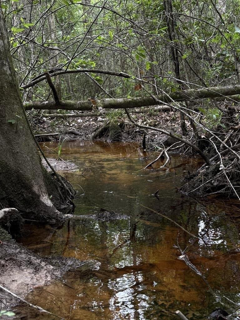36.02 acres in Texas County - photo 10