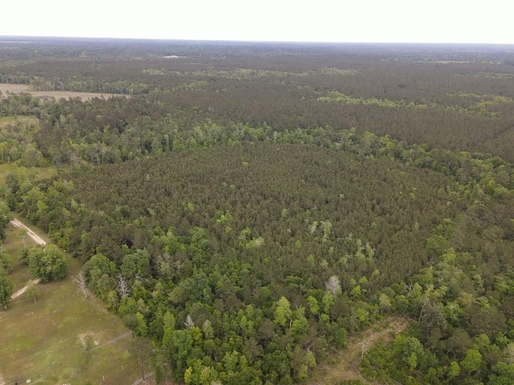 36.02 acres in Texas County gallery image 2