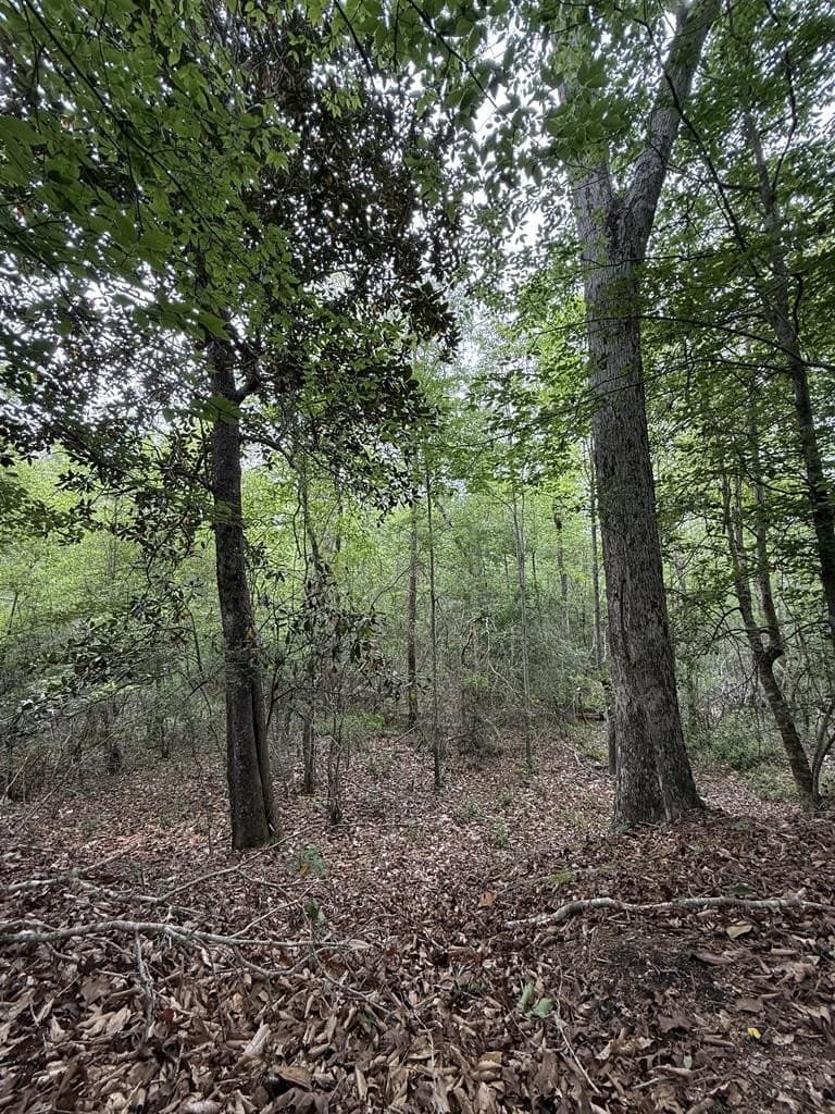 36.02 acres in Texas County - photo 8