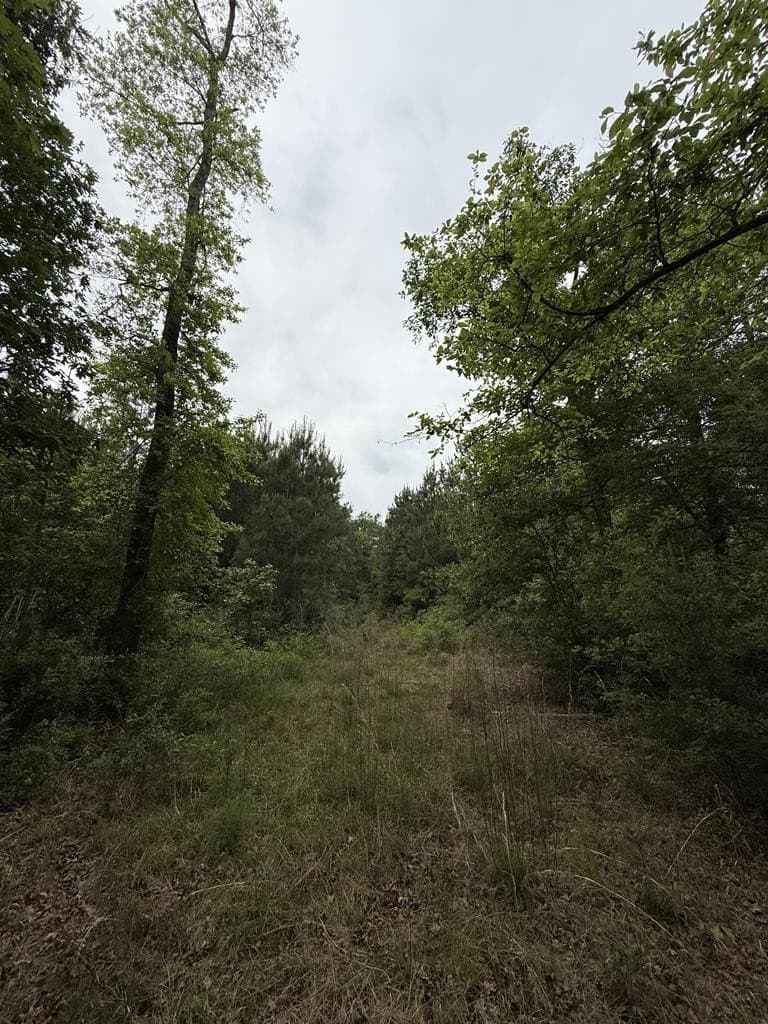 36.02 acres in Texas County - photo 16